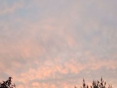 -马家湾湿地公园