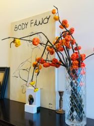 -Fancy梵汐·轻奢量肤定制