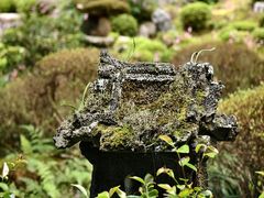 -三千院