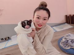 -浣熊柯尔鸭土拨鼠·电玩咖
