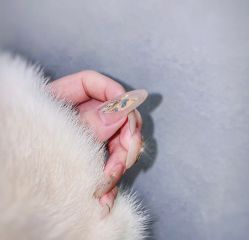 -午后美甲美睫生活馆