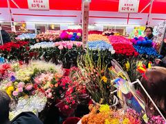 -越秀西湖花市(广州城市广场花卉店)