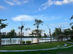 -顺峰山公园