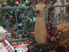 -卢布里西餐厅(总店)