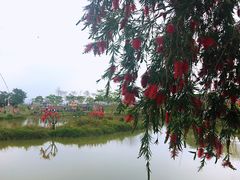 -天适樱花悠乐园