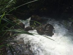 iphone_upload_pic-广州市石门国家森林公园