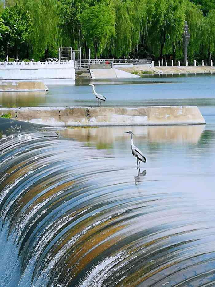 密云新城滨河森林公园-"这是去密云游玩路过云蒙大桥时拍的照片.
