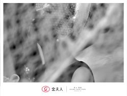 点击看大图 -金夫人婚纱摄影(总店)