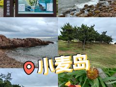 -小麦岛公园