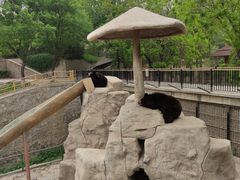 -石家庄市动物园