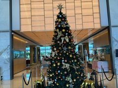 -广州奥园喜来登酒店