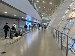 -合肥新桥国际机场-航站楼