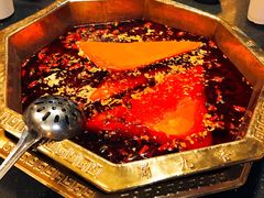 -蜀九香火锅(彩虹店)
