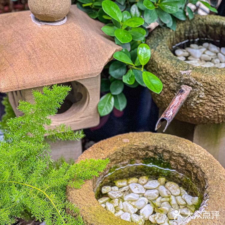 今天就解锁一家隐藏在东门的宝藏泰式料理专门店