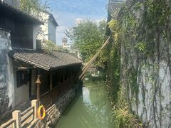 -乌镇东栅景区