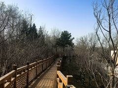 -北京大葆台遗址博物馆