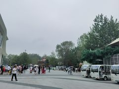 -南戴河国际娱乐中心