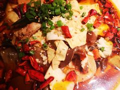 蜀一毛血旺-YUOZUO渝作·川渝冒肚(崂山店)