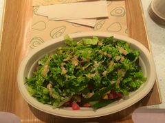 -油梨树 AVOCADO TREE(亮马桥店)