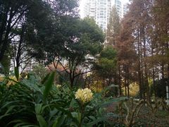 -苏州河梦清园环保主题公园