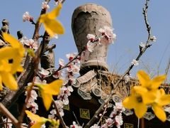 -北京凤凰岭