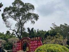 -广州莲花山旅游区