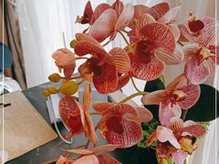 -楚禾宴·家宴(光谷大道店)