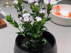 -小厨娘淮扬菜(河西奥美大厦店)