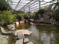 -九天休闲谷