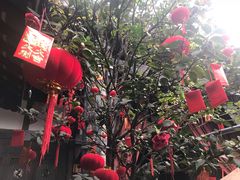 -三只耳火锅(宽窄巷子店)