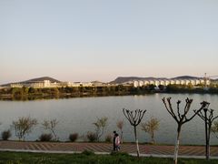 -羊山湖公园