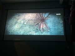 -沐森 •疗愈头疗馆(打浦桥店)