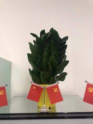 点击看大图 -I+造型烫发染发
