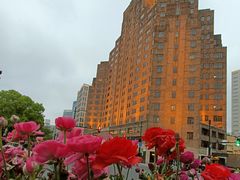 -北外滩滨江绿地