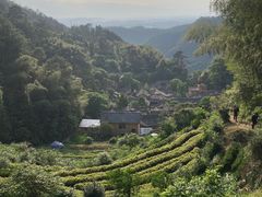 -杨家堂村