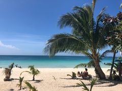 -The Sunny Side Cafe Station 1