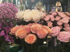 -BoBloom花店(晶耀前滩店)