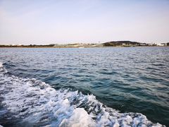 -唐岛湾公园