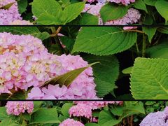 -天津医科大学肿瘤医院(本部院区)