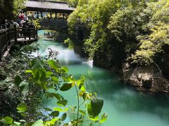 -三峡人家风景区
