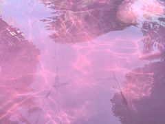 -汤山一号温泉度假区