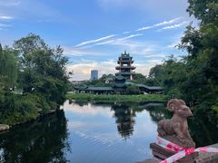 -桂湖森林公园