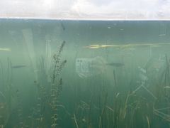 -星巴克(成都科学城店)