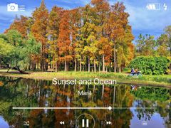 -上海共青森林公园