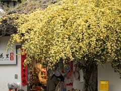 -苏州姑苏小院·东花里酒店