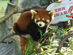 -常州淹城野生动物世界