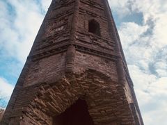 -上海佘山国家森林公园天马山园