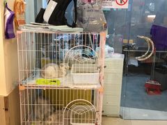 -e嘉宠物店(北大街店)