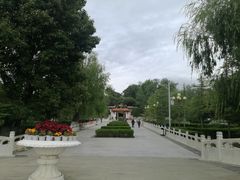 -罗布林卡