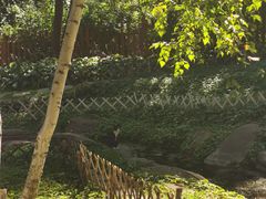 -黑龙江省森林植物园